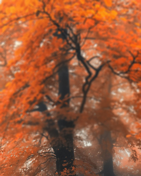 Sunset CB Picsart Blur Editing Background Download Free