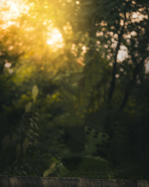 Sunset Photoshop Background Full HD For CB EDiting