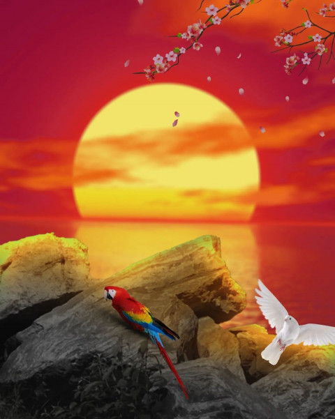 Sunset With Birds PicsArt Editing New Background Download
