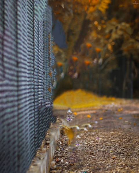 Taukeer Editz Background For CB Picsart HD