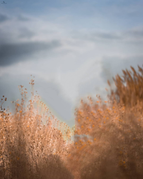 Taukeer Editz Background For CB Picsart HD