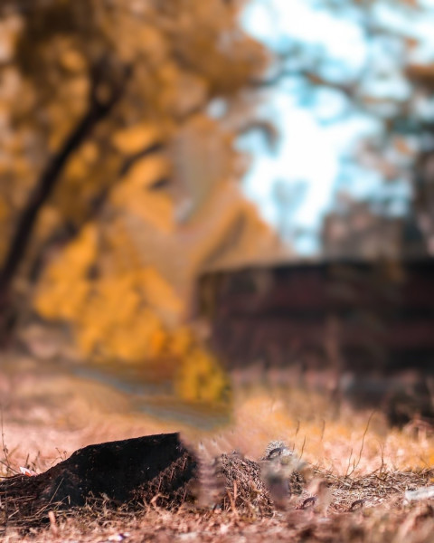 Taukeer Editz Background For CB Picsart HD