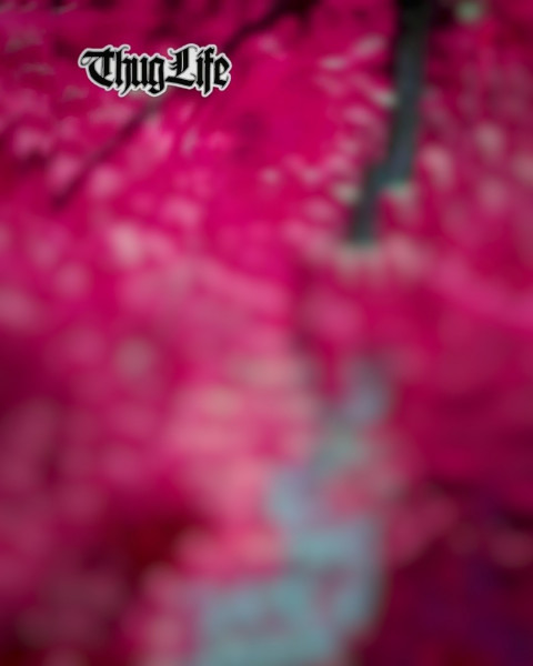 Thug Life CB Background Full HD Download For Photoshop