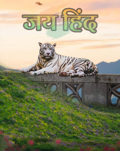 Tiger Happy Republic Day CB Editing Background for Picsart & Photoshop