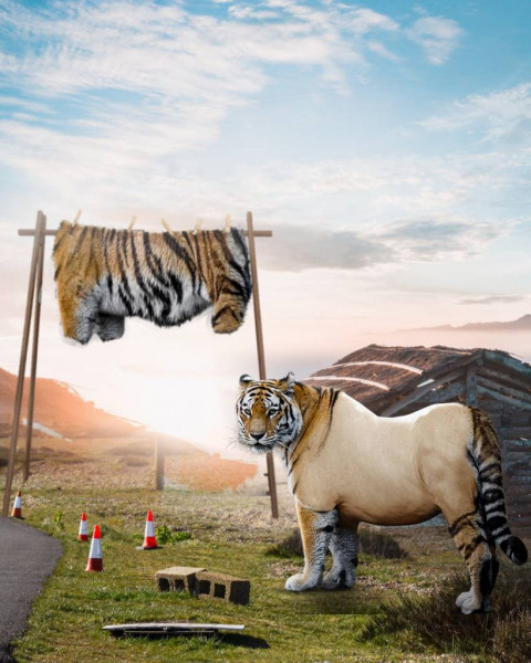 Tiger Poster Background For Picsart CB Editing