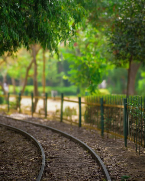 Train Track Green NAture Cool Background For Photo Cb Edit