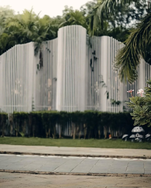 Tree Background Design For Editing Image