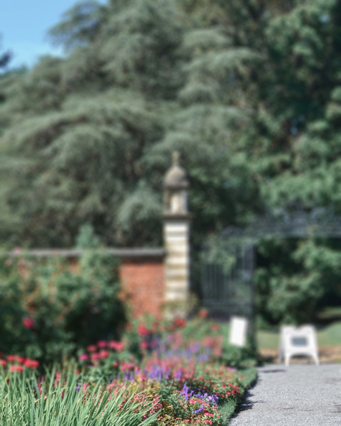 Tree Garden Blur CB Picsart Editing Background Download Free