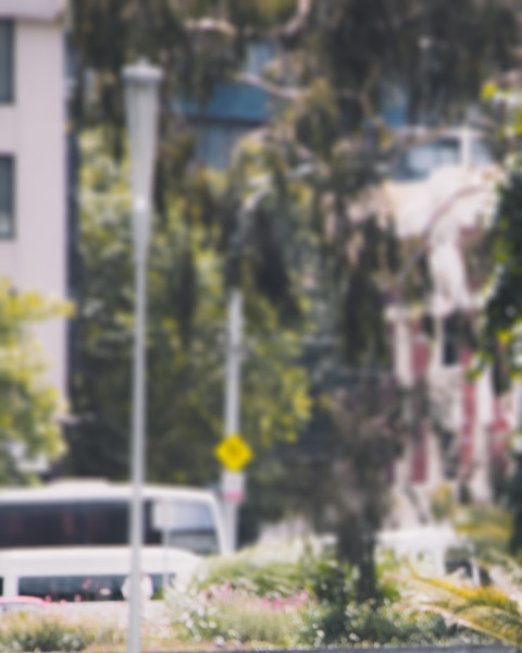 Tree Garden Blur CB Picsart Editing Background Download Pics