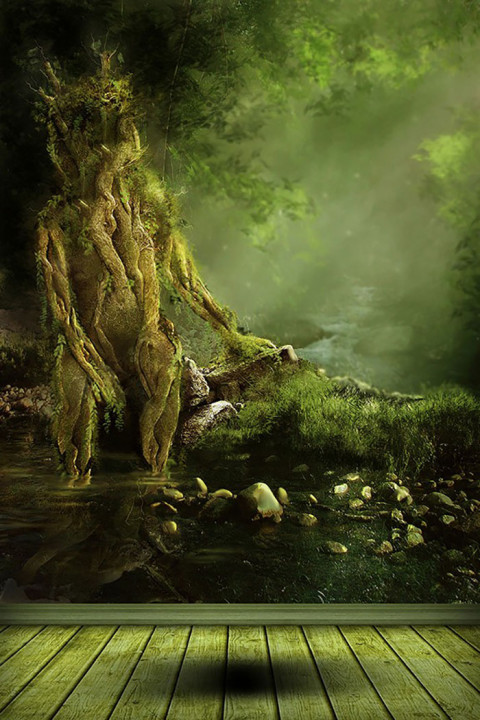 Tree Outdoor Studio Background HD Download Full HD