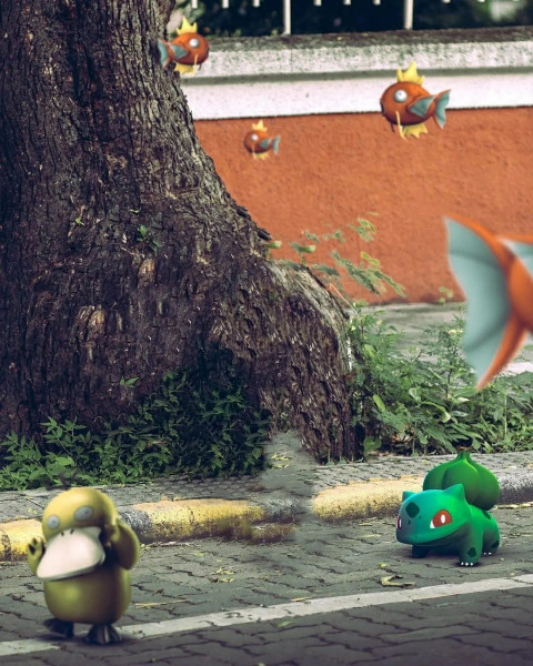 Tree Photo Editing Background For CB Photoshop