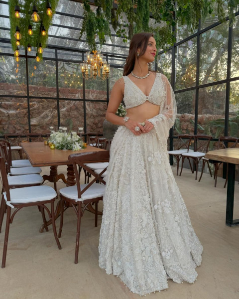 Tripti Dimri Mobile Wallpapers in Saree WhatsApp DP