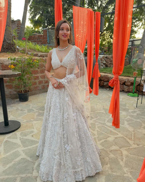 Tripti Dimri Mobile Wallpapers in Saree WhatsApp DP