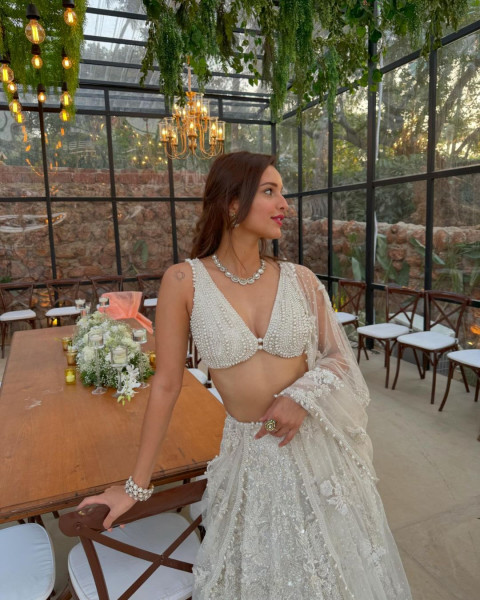 Tripti Dimri Mobile Wallpapers in Saree WhatsApp DP