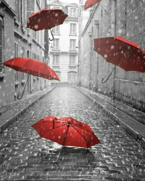 Umbrella Picsart Trending Background For Photo Editing 0
