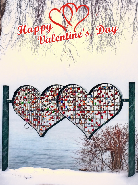 Valentine Day Background Download Full HD Photoshop