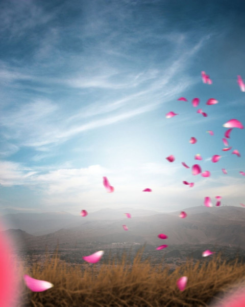 Valentine's Day Photo Editing Background For Picsart & Photoshop CB
