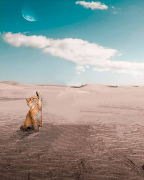 Viral Atharv Raut Background For Instagram Picsart Editing