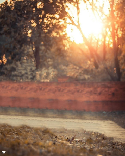 Viral Blur Background NSB Pictures Photo Editing