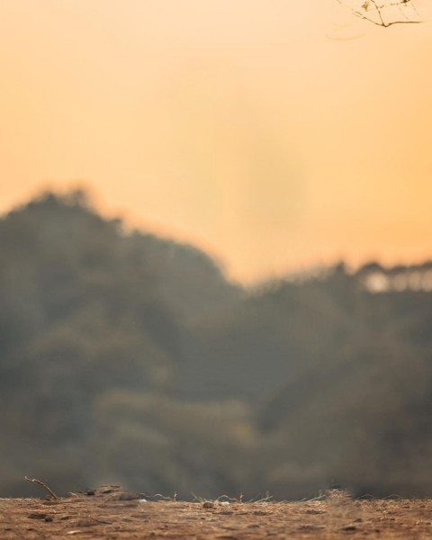 Viral Blur Background NSB Pictures Photo Editing