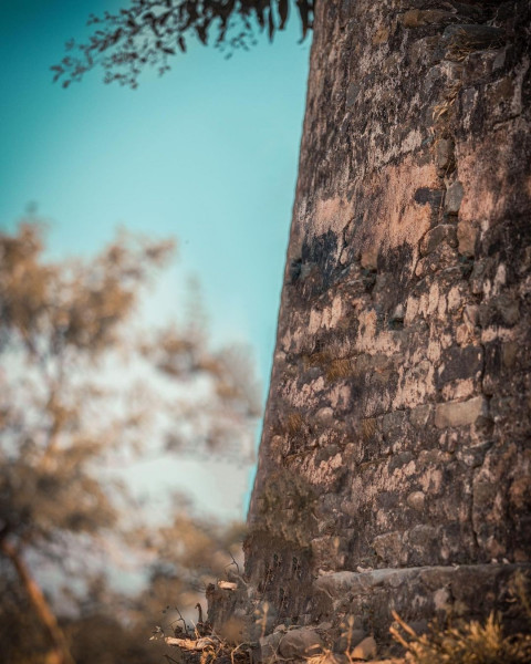 Viral Blur Background NSB Pictures Photo Editing