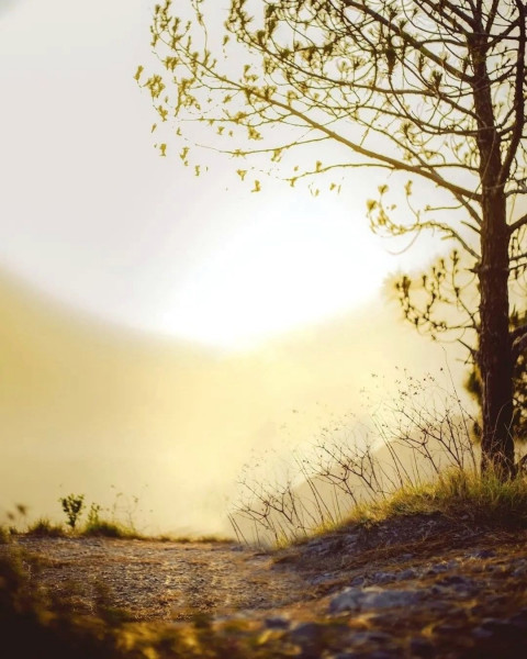 Viral CB Editing Background HD Download Img