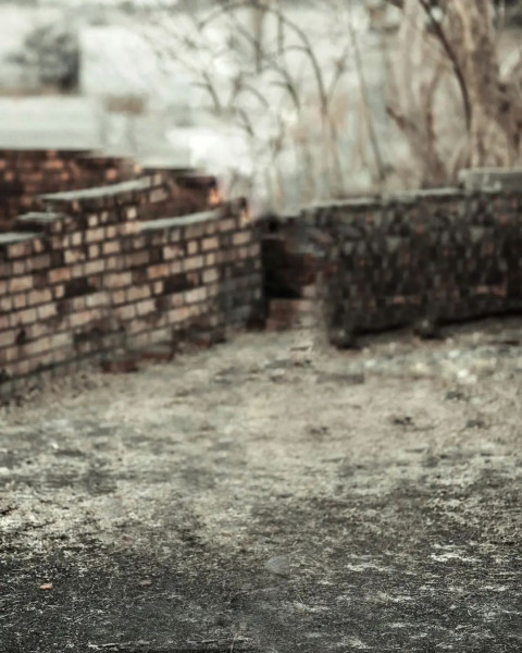 Viral CB Editing Background New Download Free