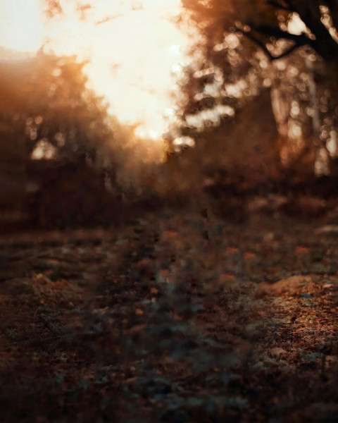 Viral Edting Background New Full HD Download Img