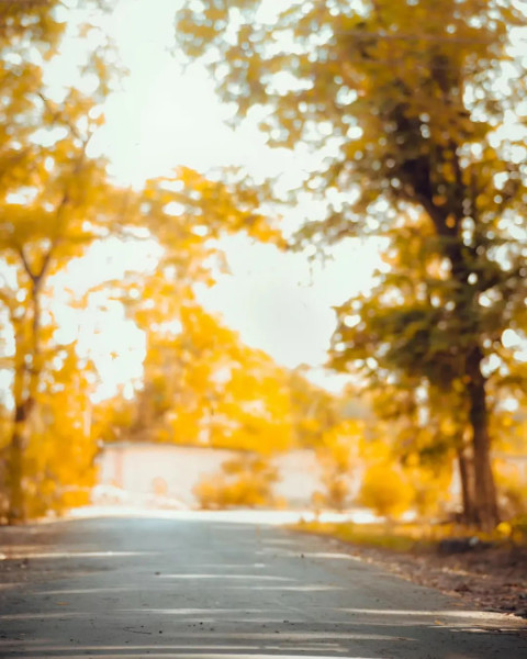 Viral Insta Editor Editing Sunset Background CB Pictures