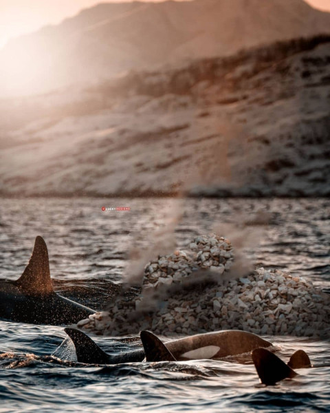 Viral Instagram Editing Background Full Hd