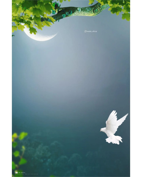 Viral New Editing Bird Background HD For Photoshop