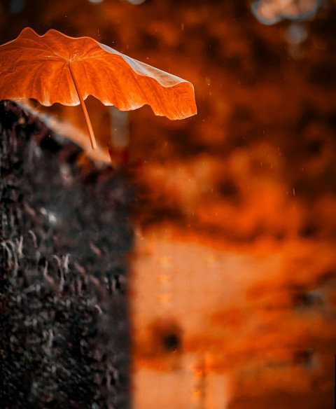 Viral Photo Editing Background Cb Picsart