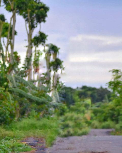 Viral Photo Editing CB PicsArt Road Background HD