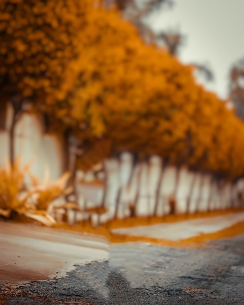 Viral Taukeer Editz Background Free Download HD