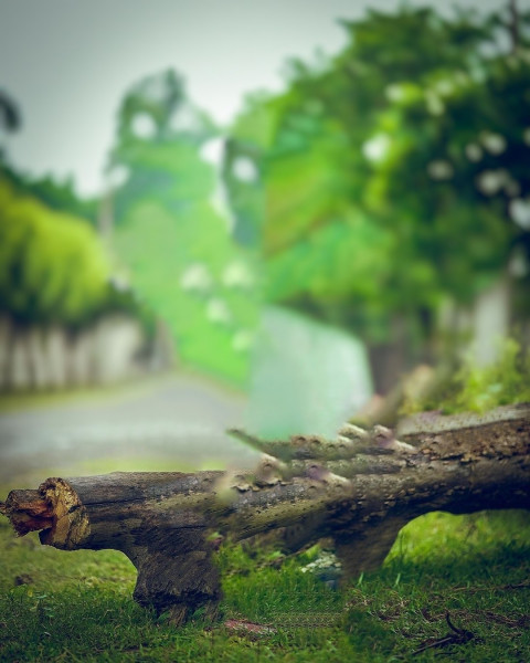 Viral Taukeer Editz Background Free Download HD