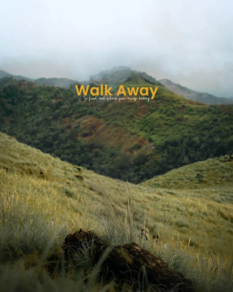 Walk Away Mountain Cool Background Free Stock