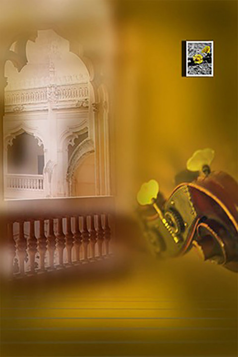 Wedding Studio Background Download Full HD Pic