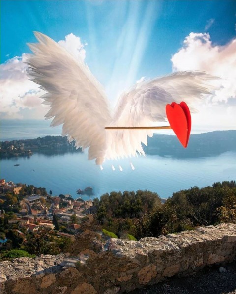 White Wing Picsart Photo CB Background Downlaod Free