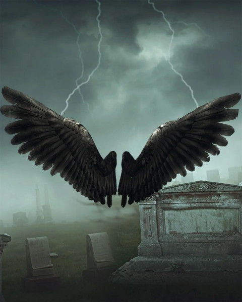 Wing CB Picsart Photo Editing Background Full HD