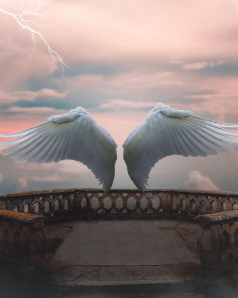 Wing Movie Poster Photo Editing Background HD