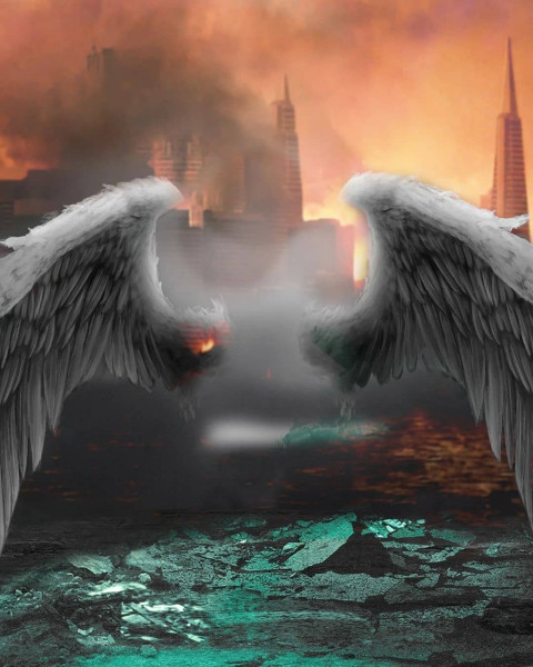 Wing Poster Background HD Download