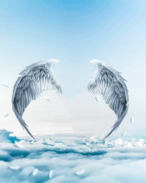 Wing Snapseed Background HD For Picsart