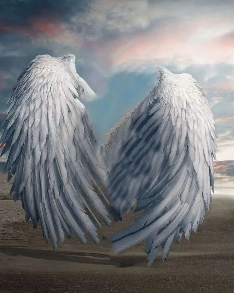 Wing Viral CB Editing Background Full HD Download