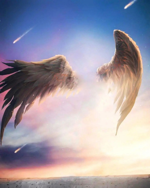 Wings Photoshop CB Editing Background Full HD
