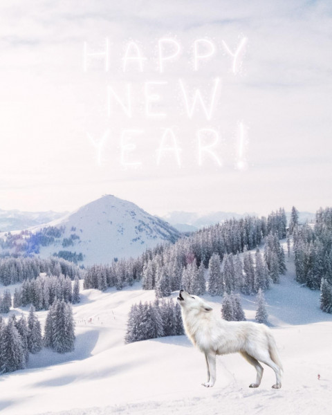 Wolf Happy New Year 2022 Editing Background Picsart
