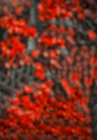 Red Cb Background Hd For Picsart Photoshop Editing | OyePhoto
