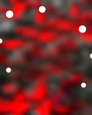Red Bokeh CB Background New Background For Editing | OyePhoto